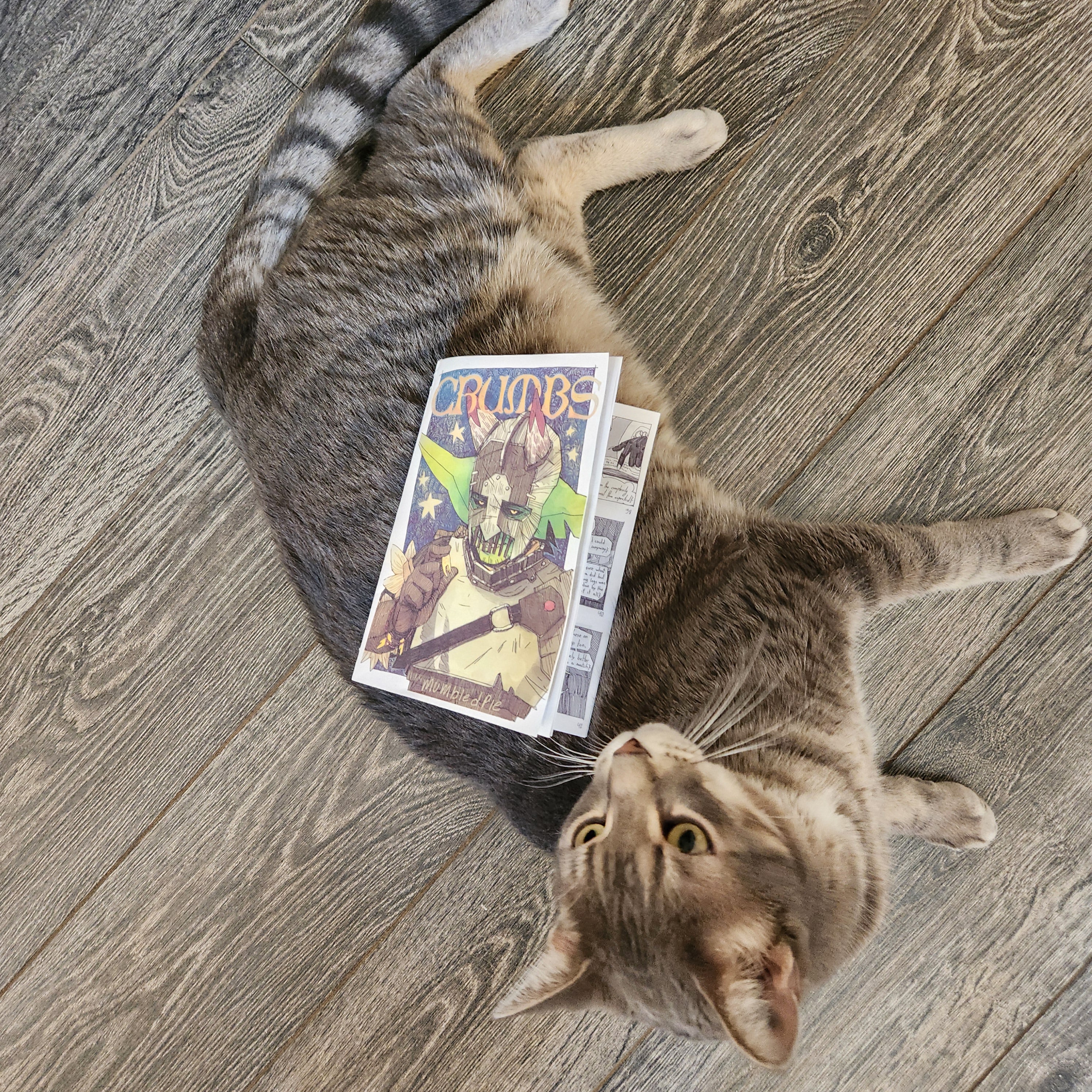 Poopy the cat approving Crumbs Zine 
