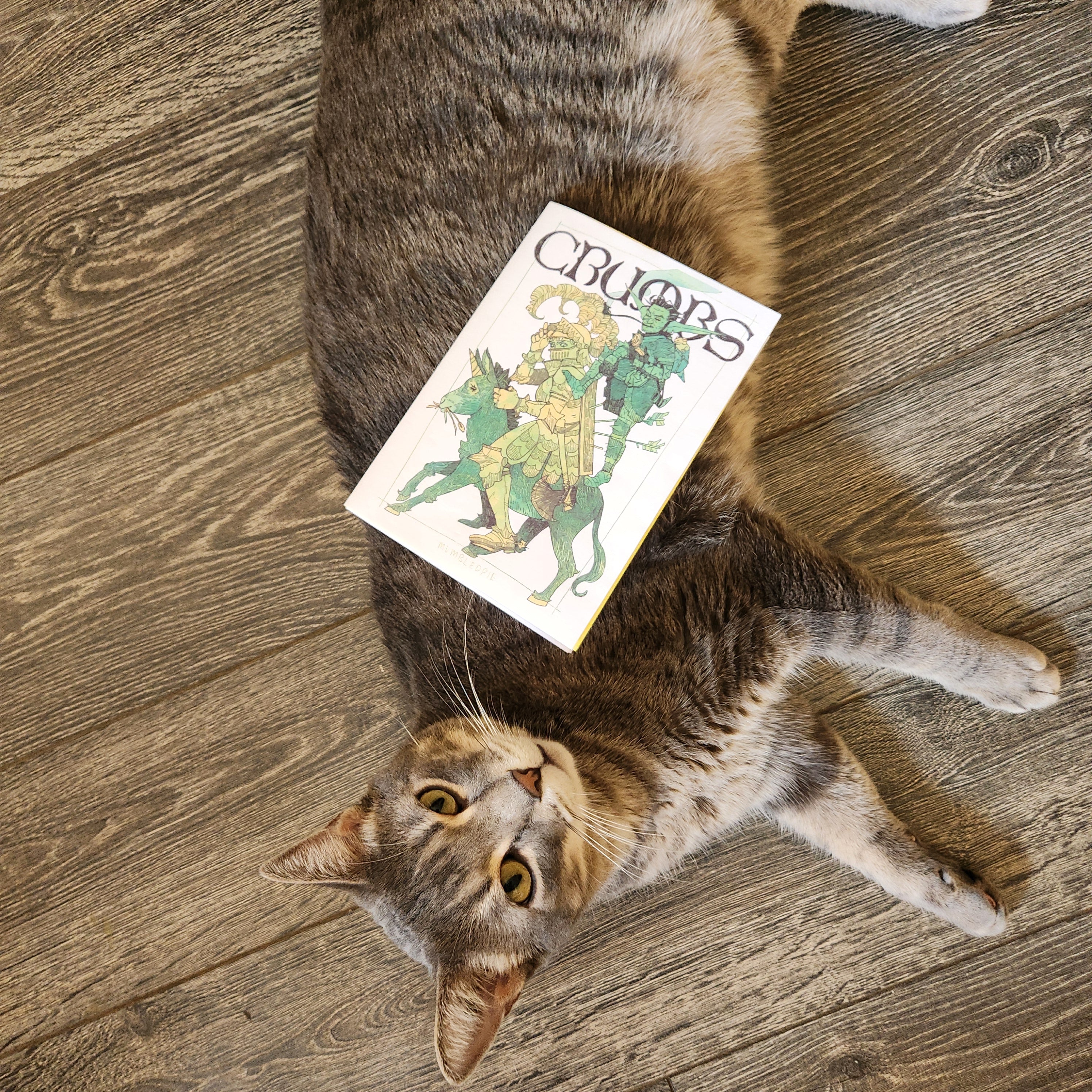 Poopy the cat approving Crumbs Zine 