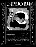 A black and white graphic style poster of a Capricorn with descriptive text below about the zodiac sign. Capricorn Zodiac index page.